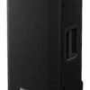PIONEER DJ XPRS122 FULL RANGE SPEAKER - immagine 2